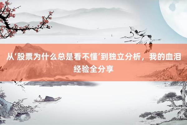 从‘股票为什么总是看不懂’到独立分析，我的血泪经验全分享