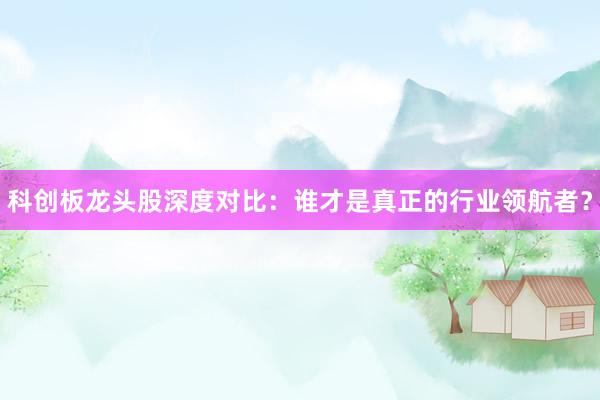科创板龙头股深度对比：谁才是真正的行业领航者？
