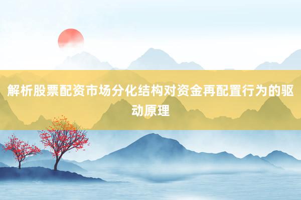 解析股票配资市场分化结构对资金再配置行为的驱动原理