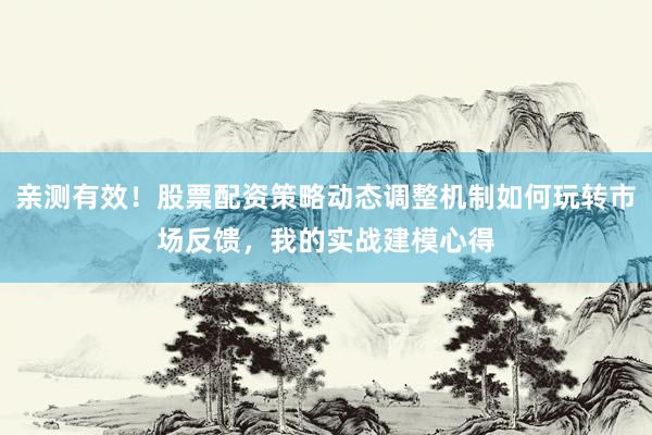 亲测有效！股票配资策略动态调整机制如何玩转市场反馈，我的实战建模心得