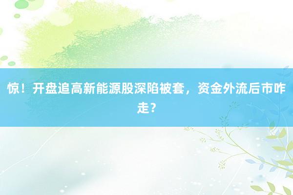 惊！开盘追高新能源股深陷被套，资金外流后市咋走？