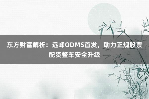 东方财富解析：远峰ODMS首发，助力正规股票配资整车安全升级