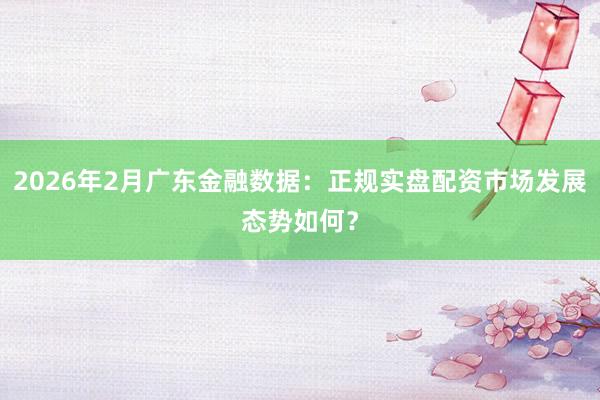 2026年2月广东金融数据：正规实盘配资市场发展态势如何？