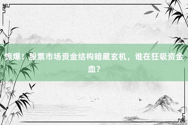 惊爆!股票市场资金结构暗藏玄机,谁在狂吸资金血?