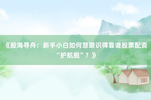 《股海寻舟：新手小白如何慧眼识得靠谱股票配资“护航舰”？》