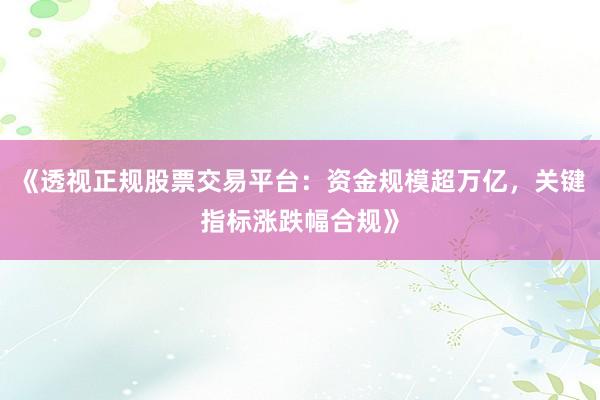 《透视正规股票交易平台:资金规模超万亿,关键指标涨跌幅合规》