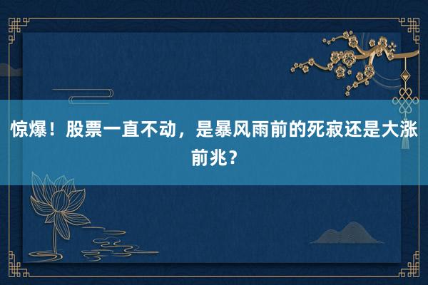 惊爆！股票一直不动，是暴风雨前的死寂还是大涨前兆？