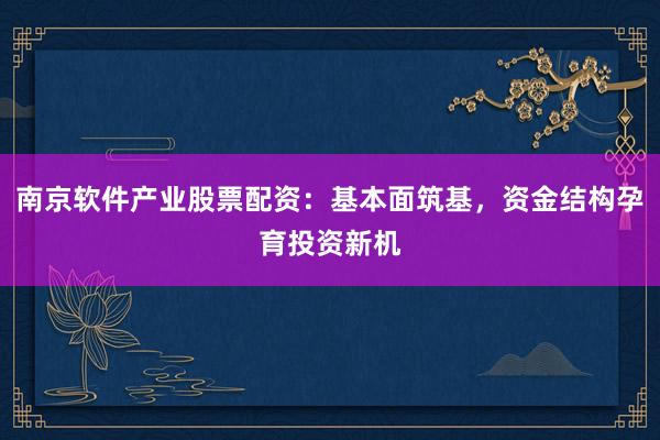 南京软件产业股票配资：基本面筑基，资金结构孕育投资新机