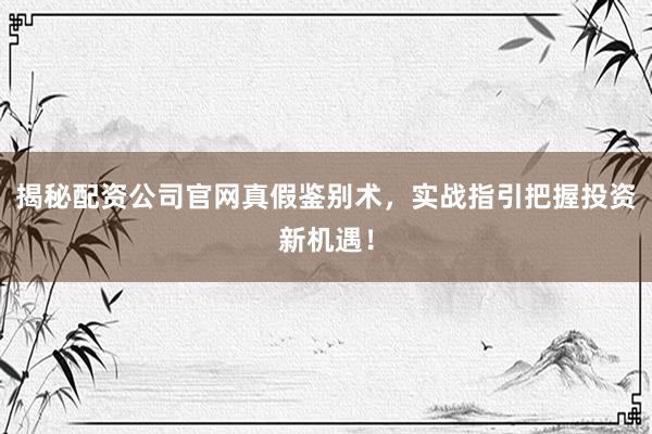 揭秘配资公司官网真假鉴别术，实战指引把握投资新机遇！